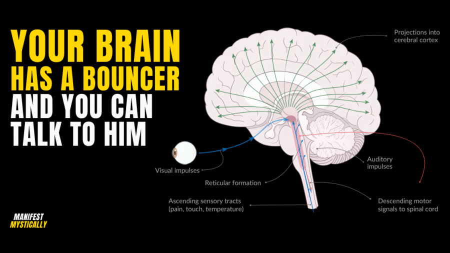 Manifest Mystically article on the reticular activating system — your brain's bouncer that filters 11 million sensory signals into 40 conscious thoughts